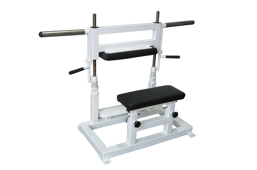 Pullum best sale squat rack